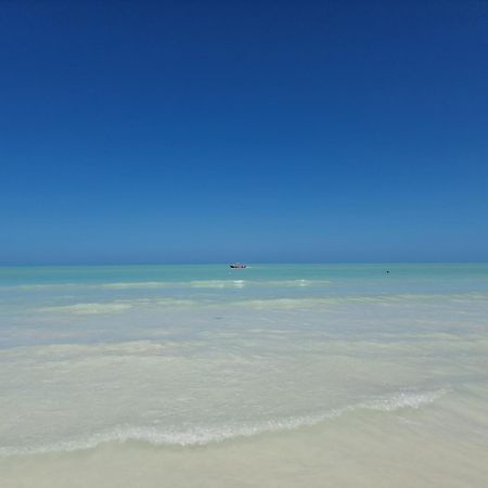 Luna Y Sol Glamping Holbox Экстерьер фото